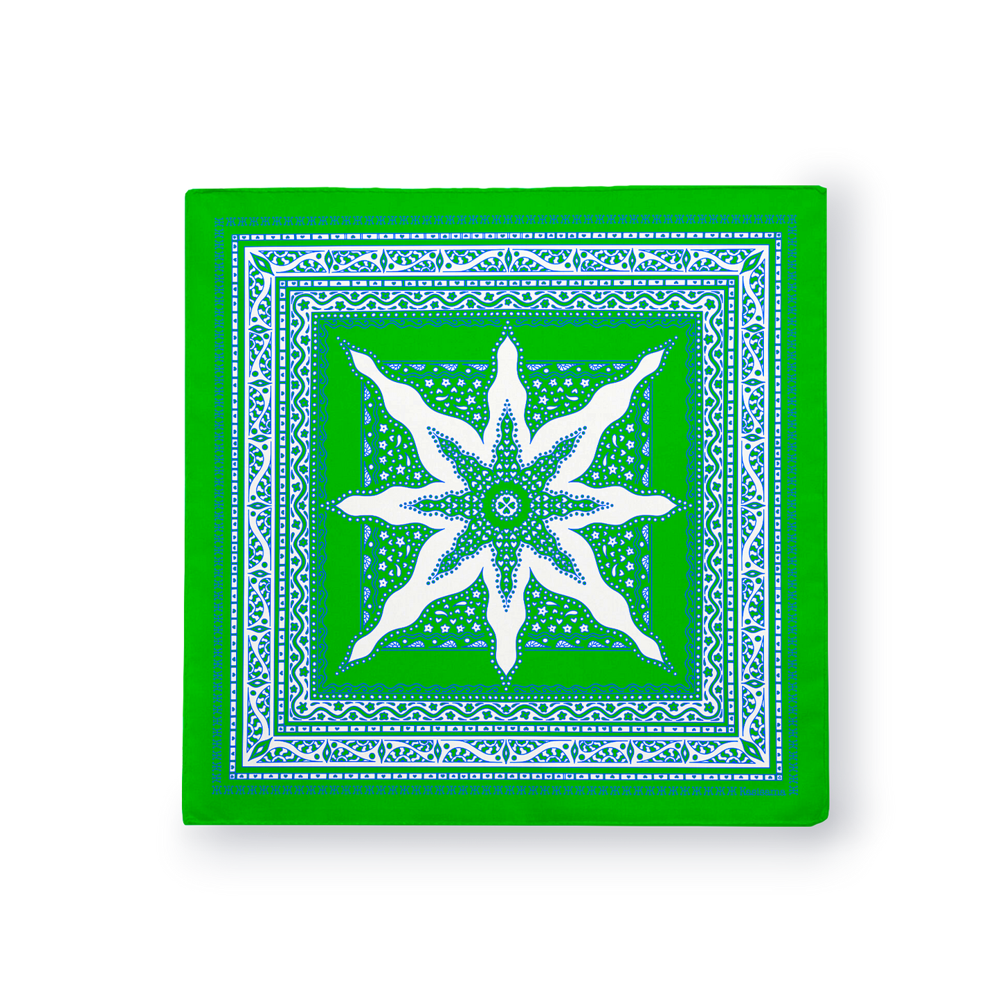 FOULARD SIARGAO - Vert  Blanc